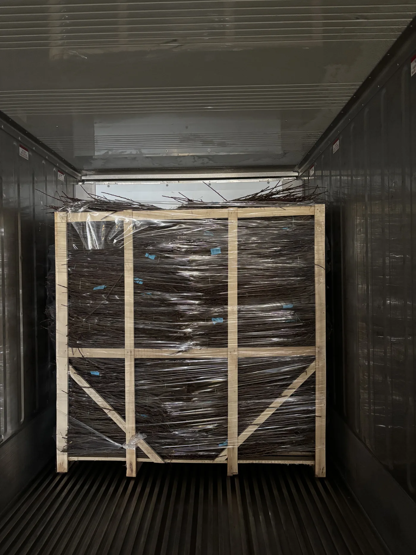 Seedlings loading for export